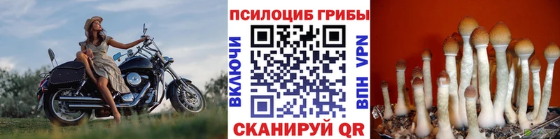 Галлюциногенные грибы прущие грибы  Ильский 